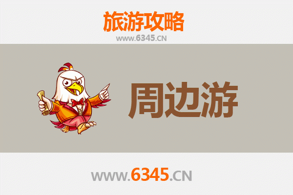 肇庆广宁周边游全攻略：竹海漫游与古村探秘之旅